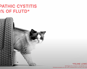 ROYAL CANIN URINARY 3D